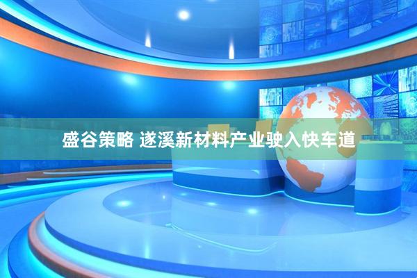 盛谷策略 遂溪新材料产业驶入快车道